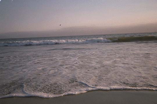 Miramar Beach, Half Moon Bay, CA
