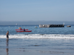 Kayakers in Monterey, CA
